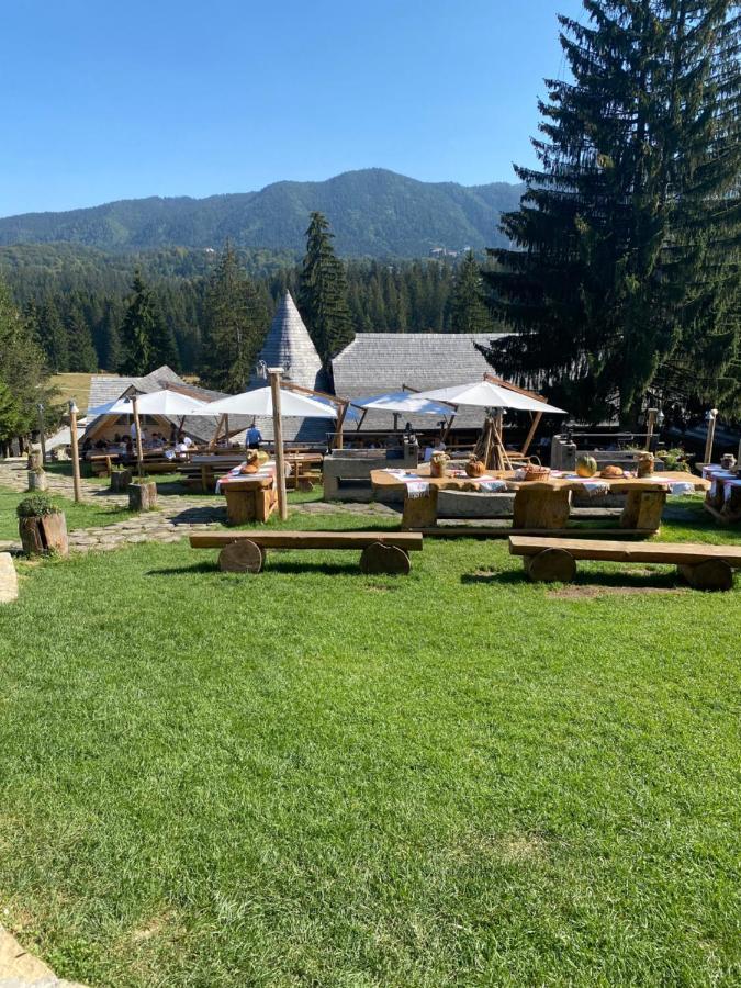 Appartamento Pentahouse Mountain Belle Vue Poiana Brasov Esterno foto